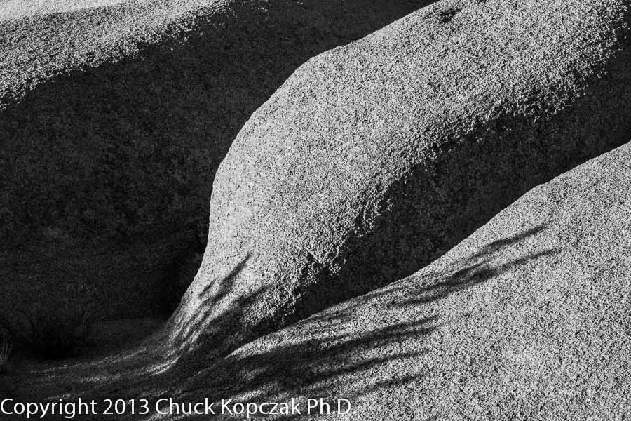 CDKL0526 2013-04-14 Joshua Tree-900px.jpg