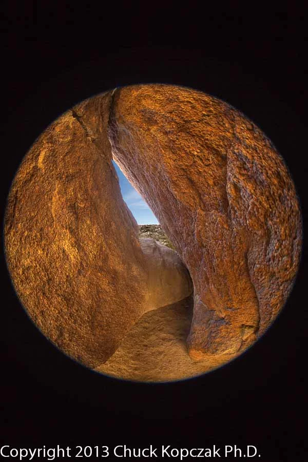 CDKL0273 2013-04-13 Joshua Tree-Edit-900px.jpg