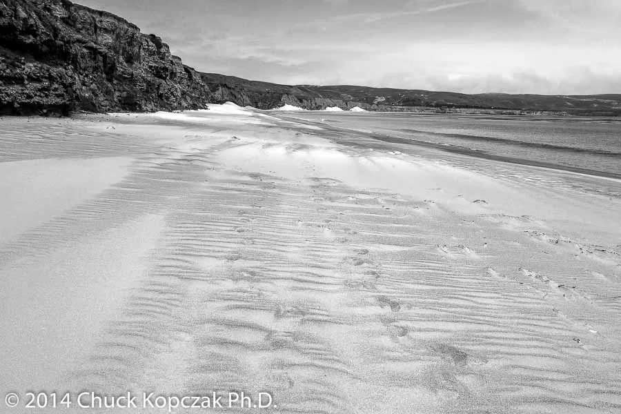 CDKL7832 2014-06-08 Santa Rosa Island-900px.jpg