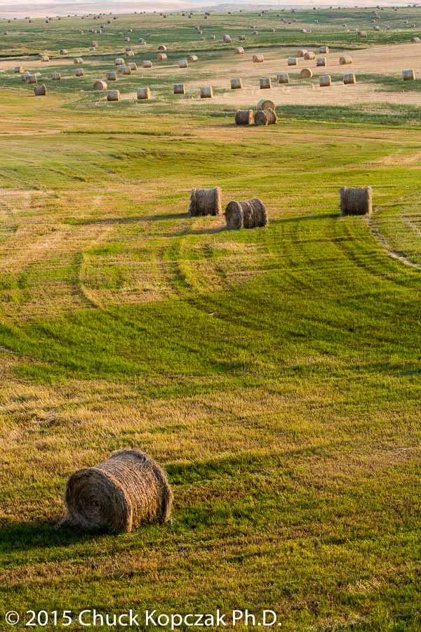 2015-08-17 Montana CDKL5711-900 px.jpg