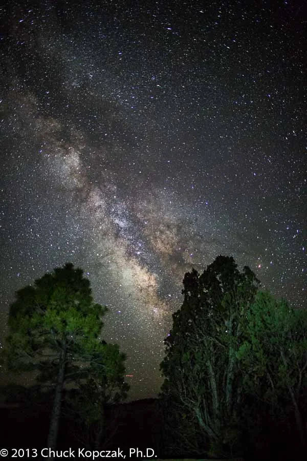 2013-07-08 Bryce Canyon night sky - Milky Way trees lighted 03 900px.jpg
