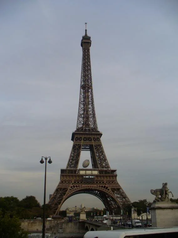 Lessons Learned From Susan