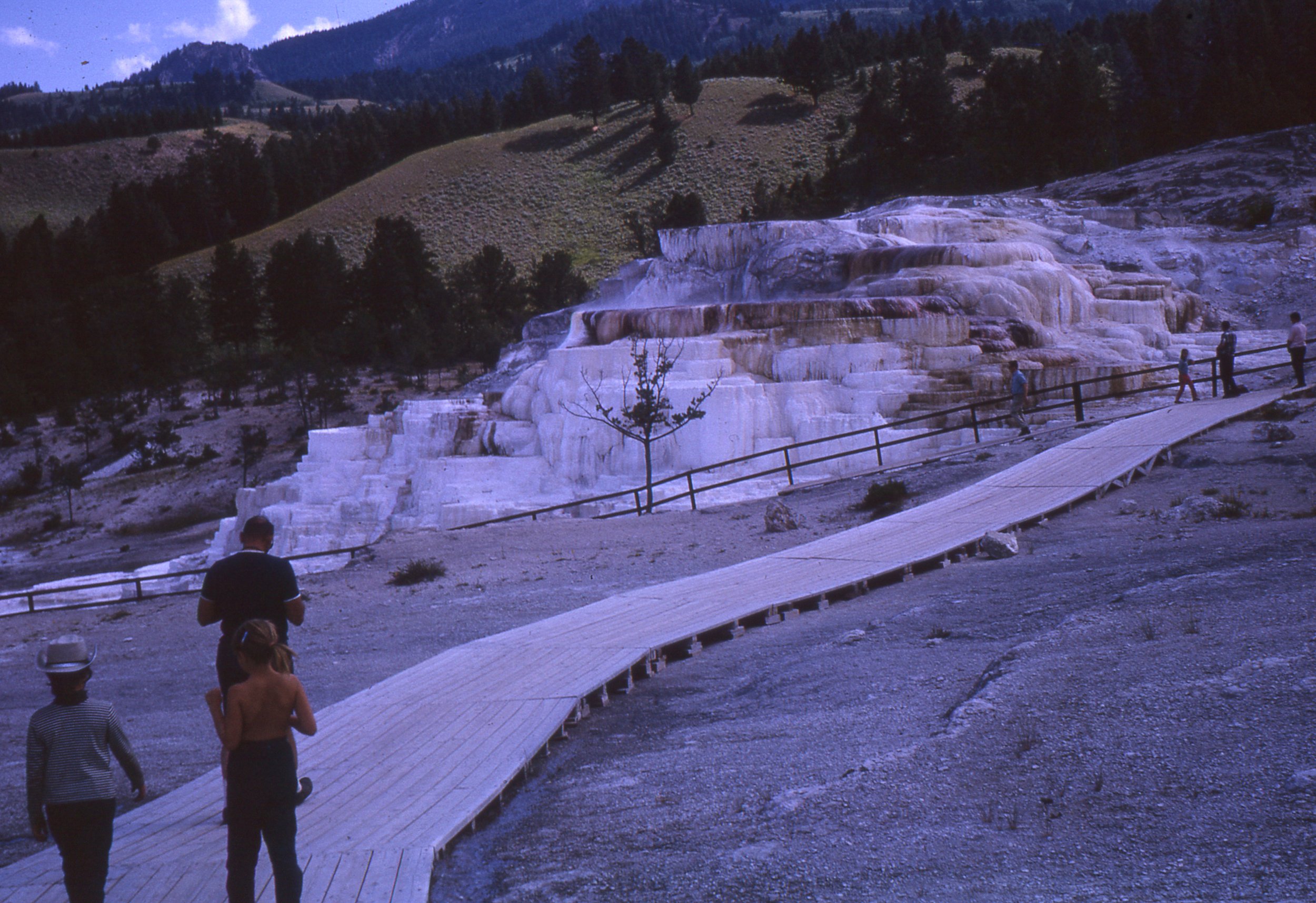 1967-img006 - Yellow Stone National Park.jpg