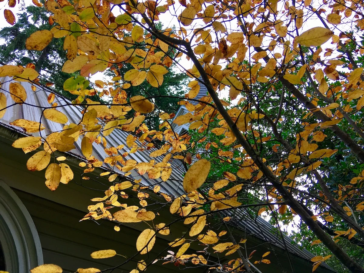 IMG_1754.jpg