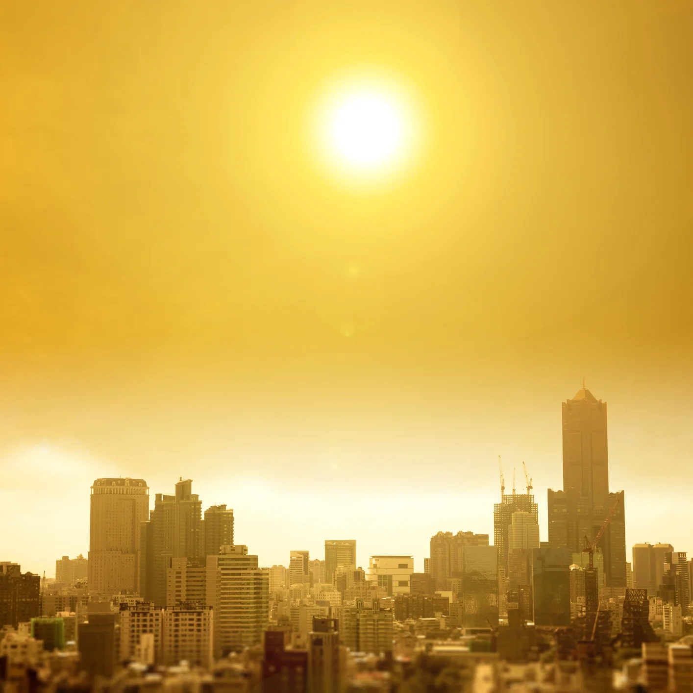 Photo by Tomwang112/iStock / Getty Images