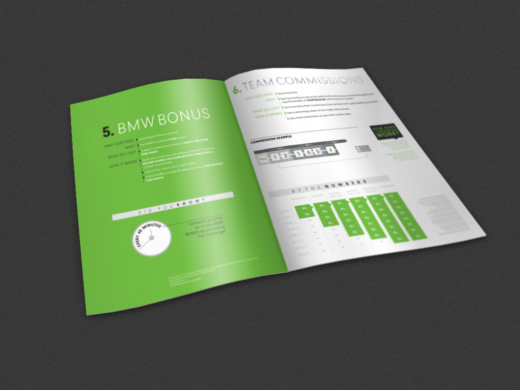 Compensation Plan