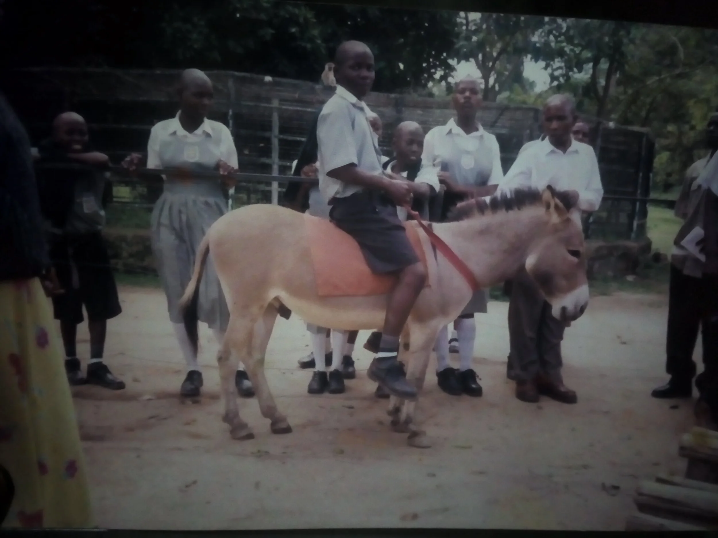 Ask an Alumni: Mugoya's Memories