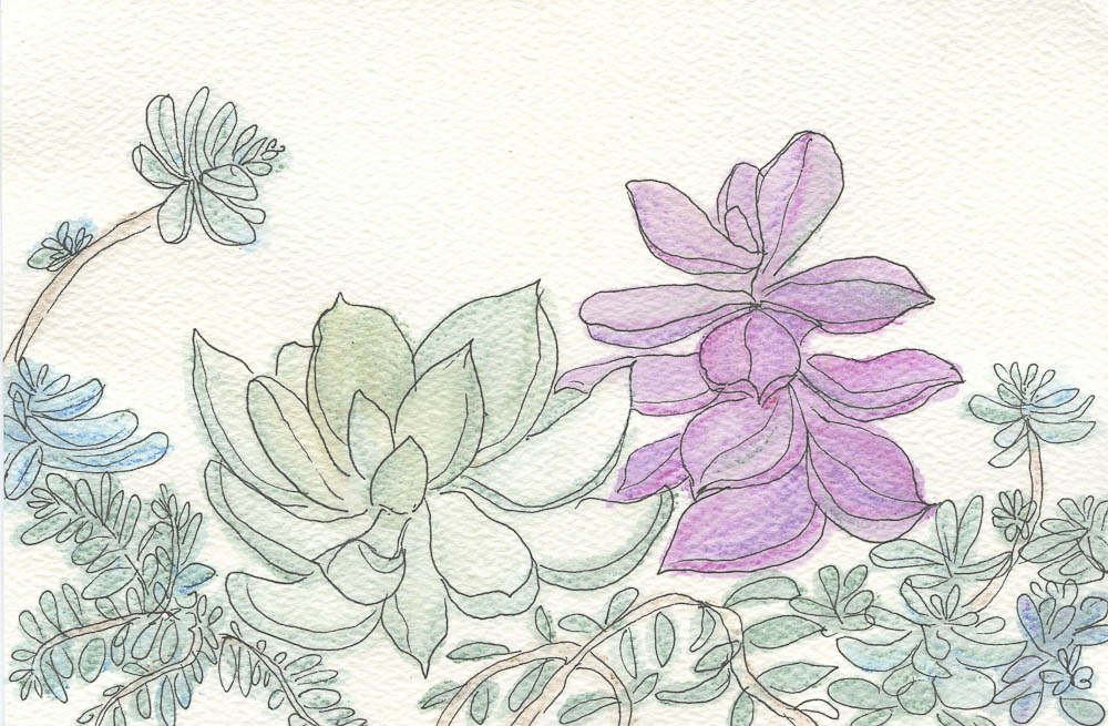 Succulents053.jpg