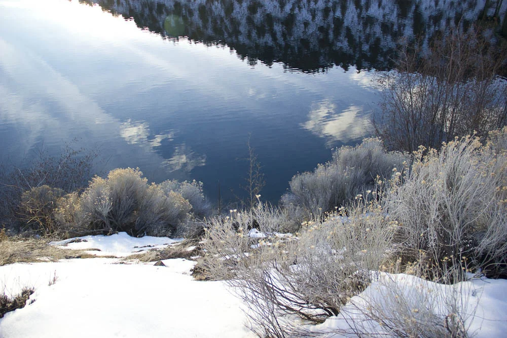 _MG_2900.jpg