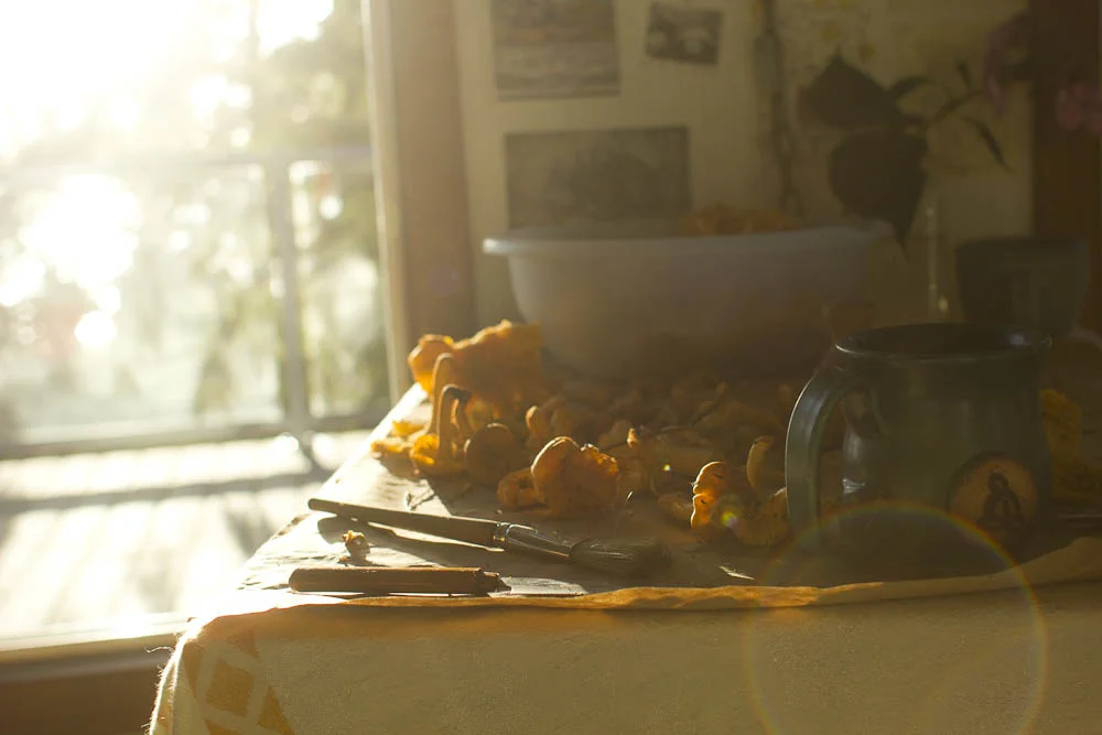_MG_1211.jpg