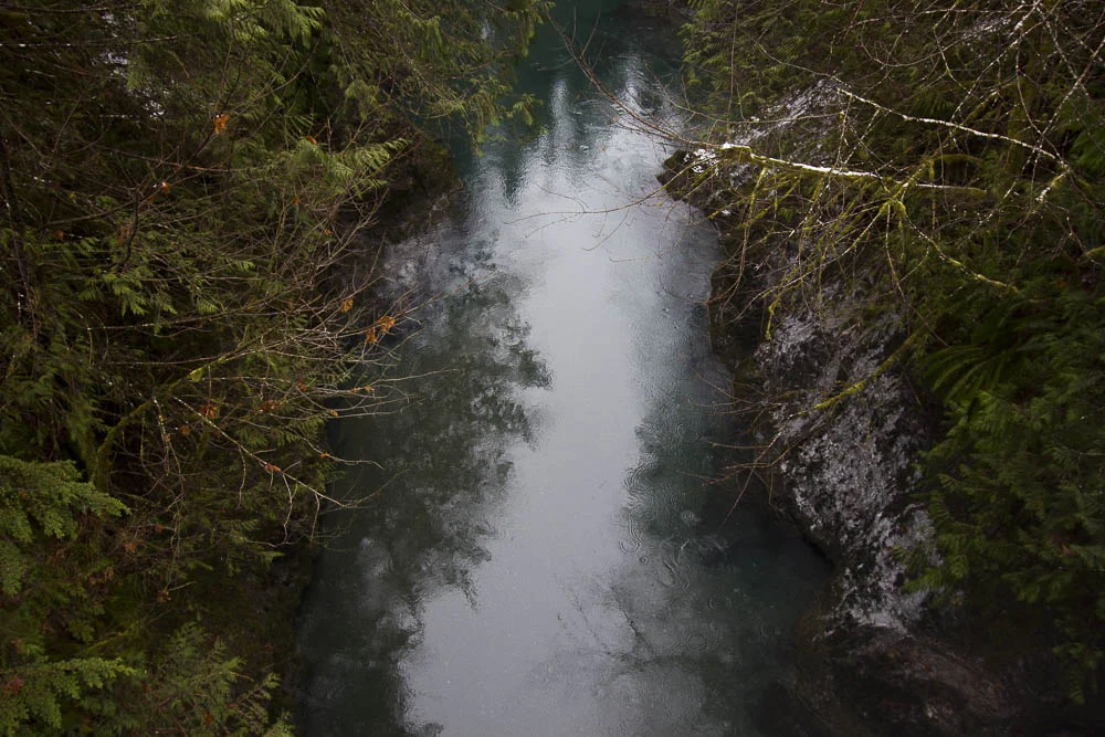_MG_5899.jpg