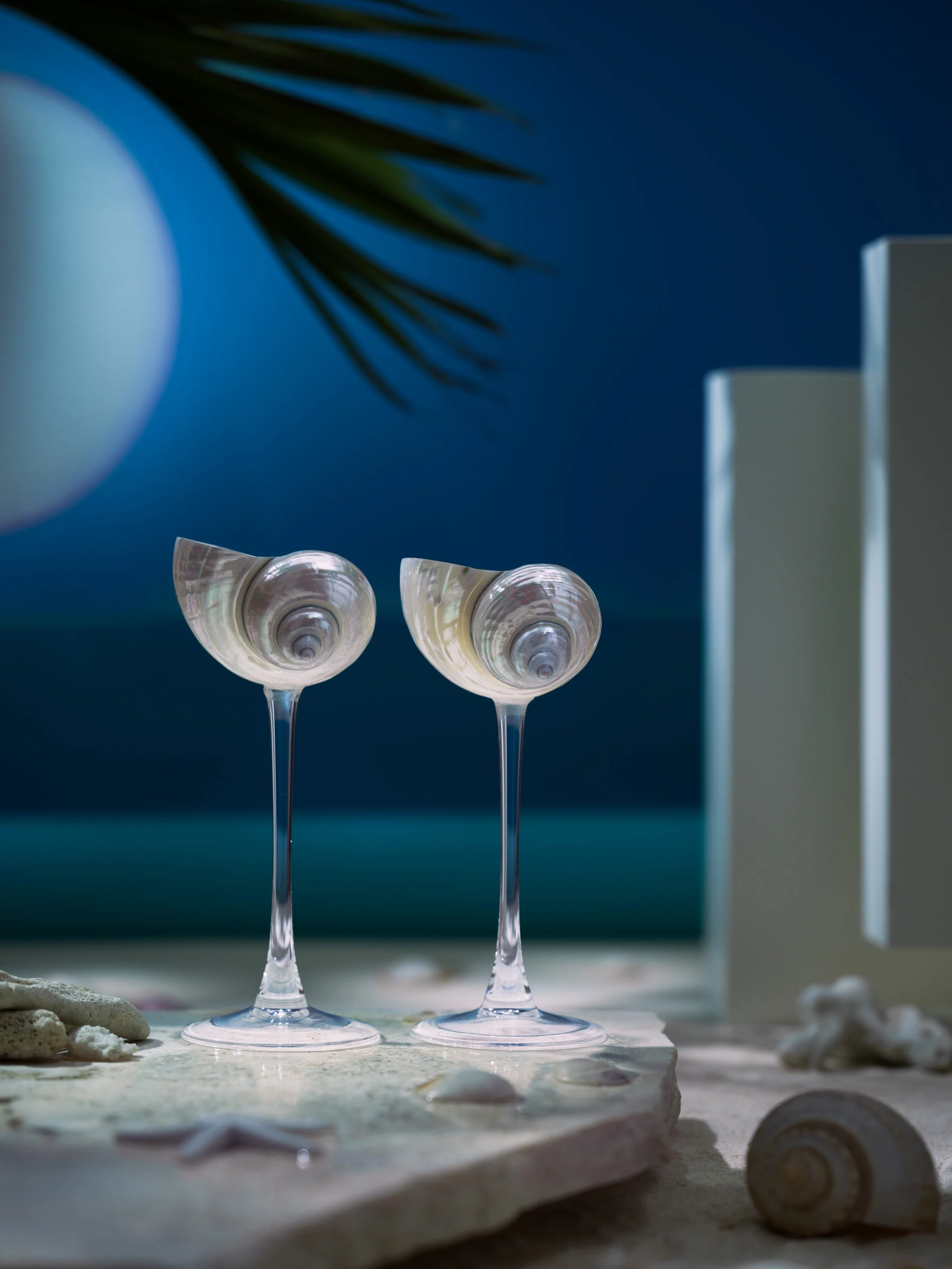 GlassShell_SmallSize_Night.JPG