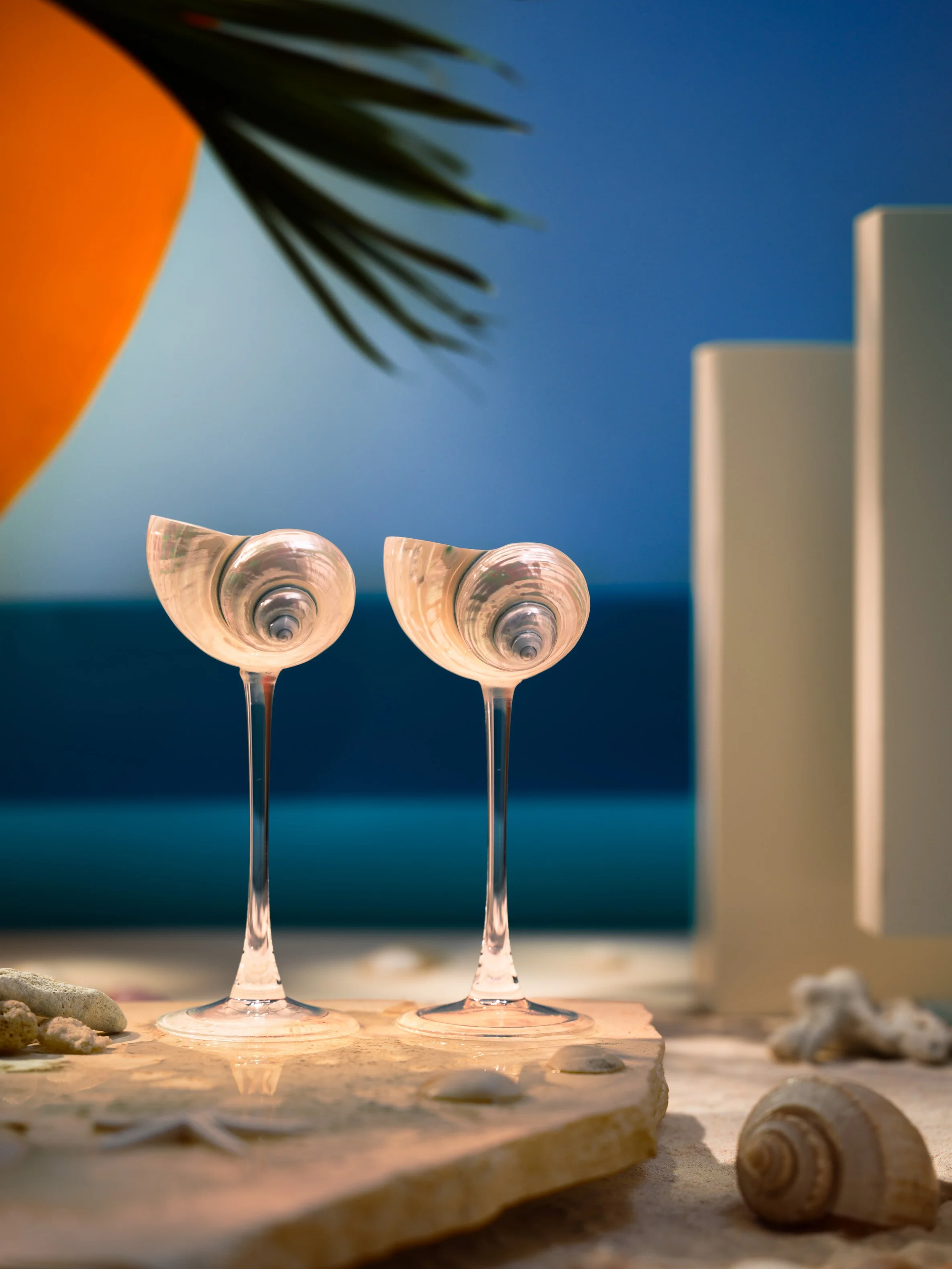 GlassShell_SmallSize_Day.JPG