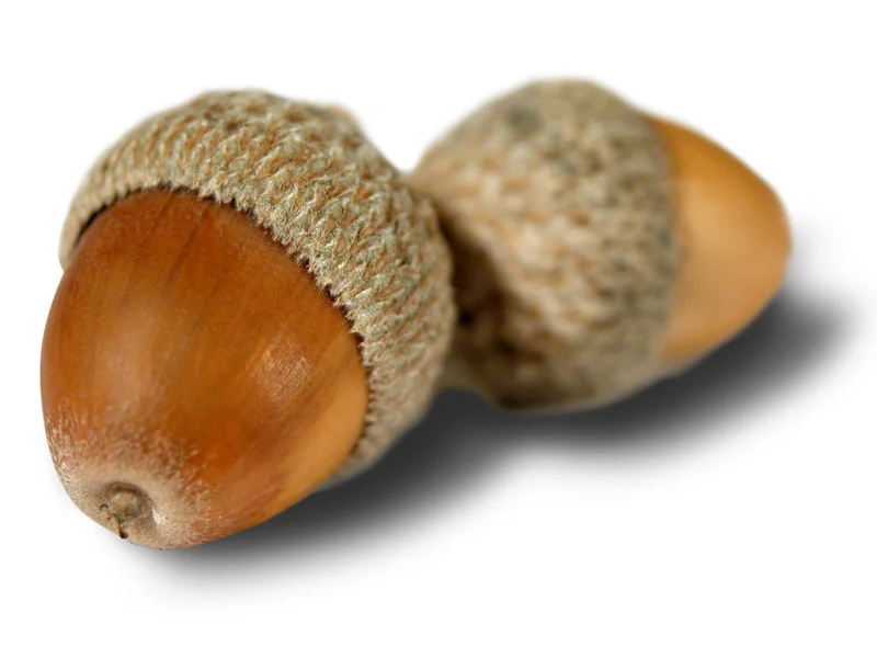 Fotolia_6180567_S_1_.jpg