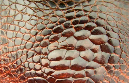 Fotolia-Gator Skin_5898194_XS.jpg
