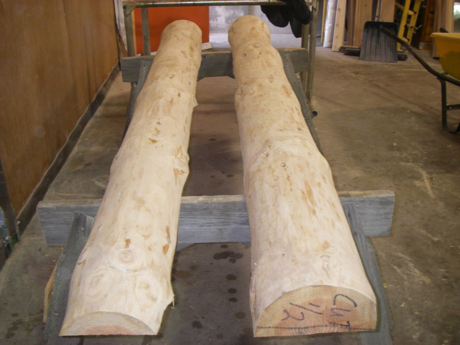 Timbers-Logs.JPG