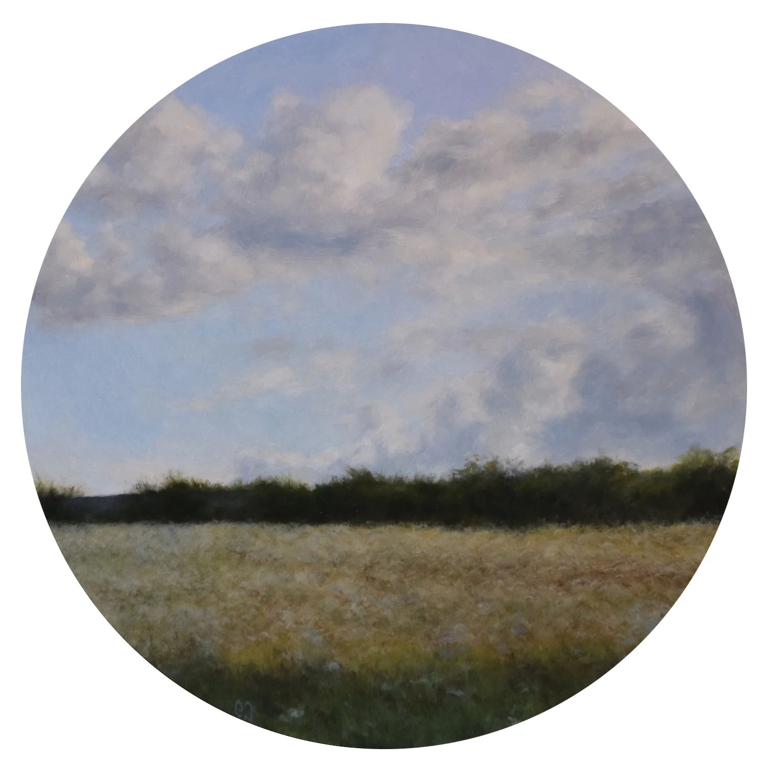 ‘Argenton Landscape Summer 2014’, 2014, oil on board, 39.7cm x 39.7cm. $350