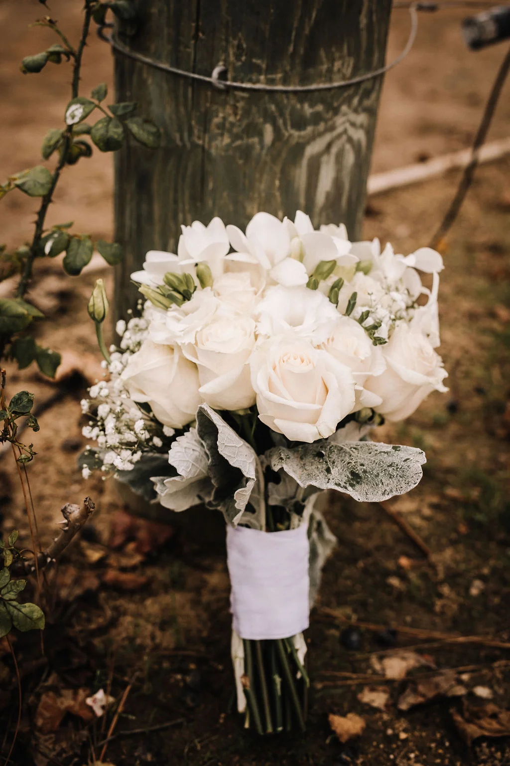 Vargas2018.270.dbp(1of1).jpg