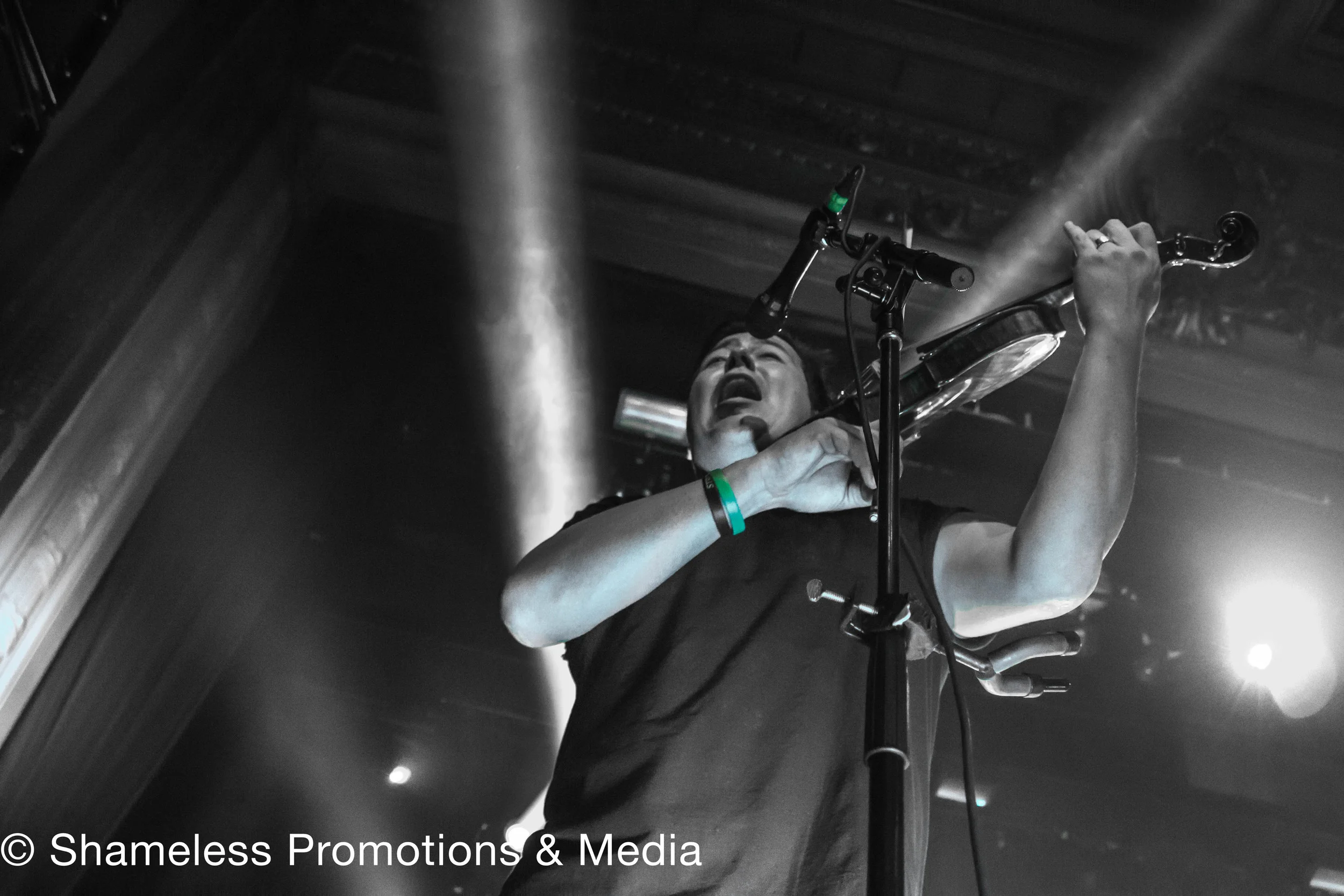 Yellowcard