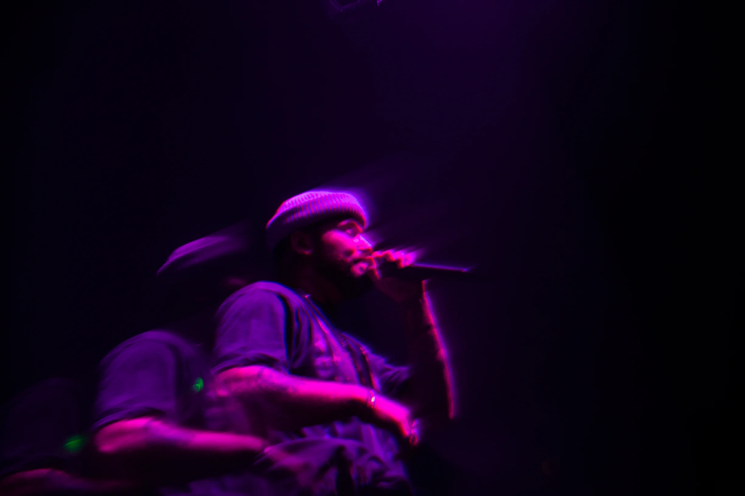 bear_250.jpg