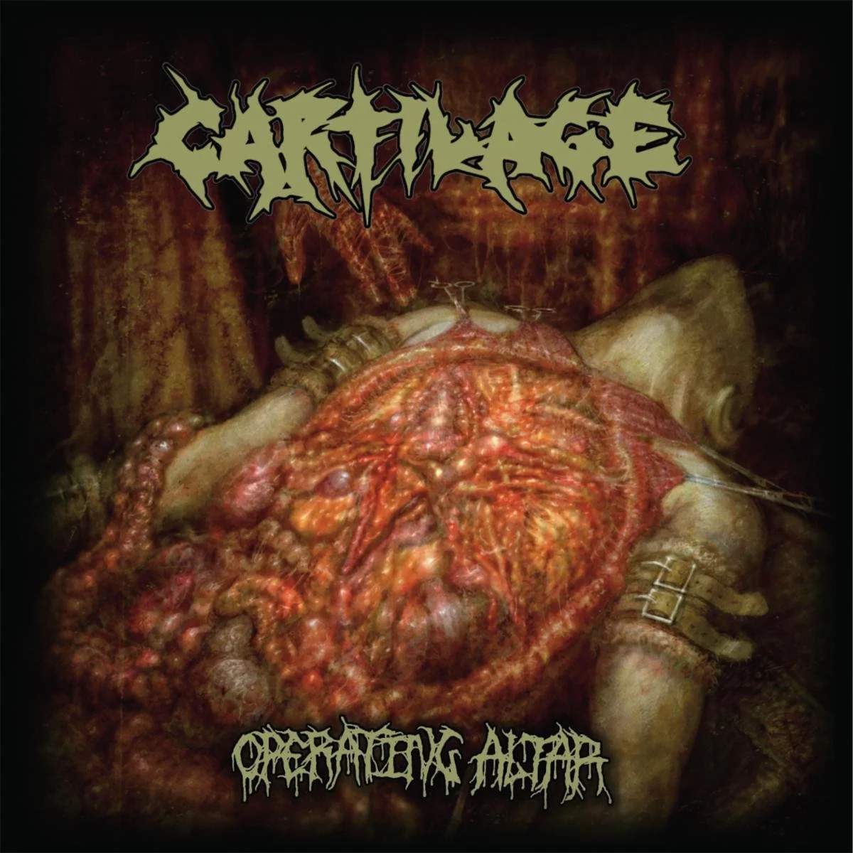 Cartilage - Operating Altar