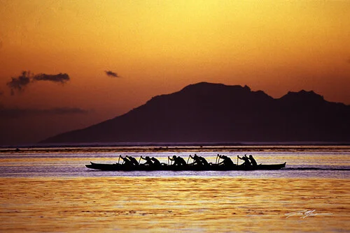 February 2014 - "Forward Hold"