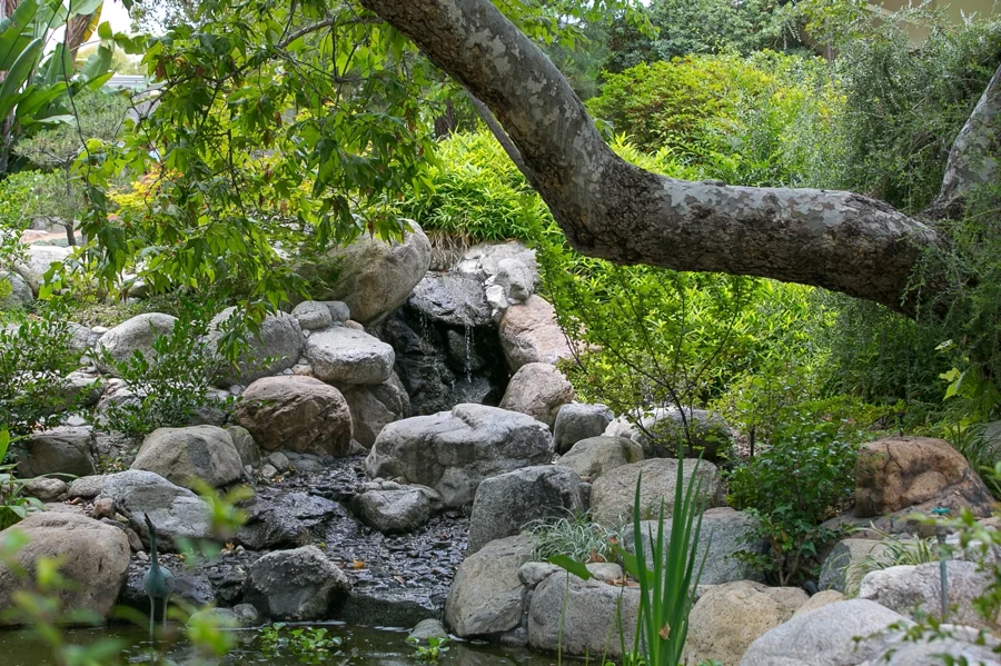 Storrier-Stearns Japanese Garden PASADENA WEDDING PHOTOGRAPHER CHRIS HOLT PHOTOGRAPHY_014.jpg