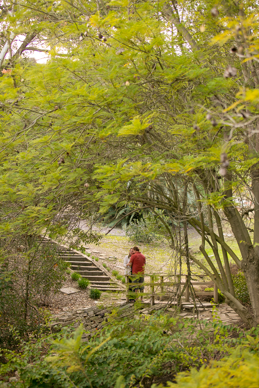 laguna niguel botanical gardens, engagement session, love, fiance, engaged, los angeles wedding photography, chris holt photography, orange county