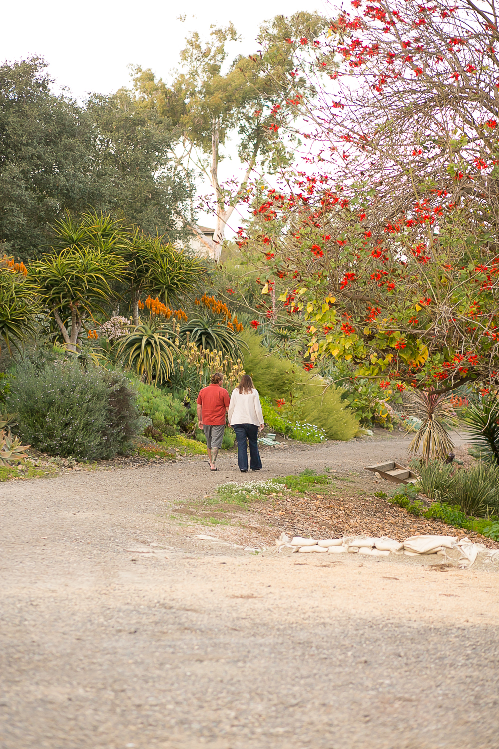 laguna niguel botanical gardens, engagement session, love, fiance, engaged, los angeles wedding photography, chris holt photography, orange county