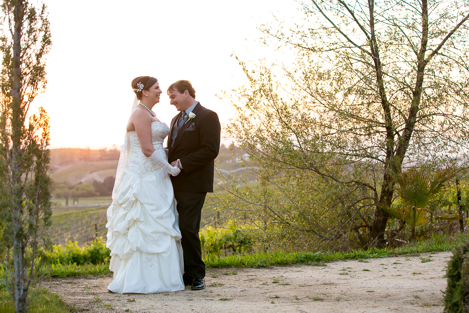 falkner winery, temecula, wedding, love, bride, groom, bridal portraits, spring wedding, winery wedding, chris holt photography