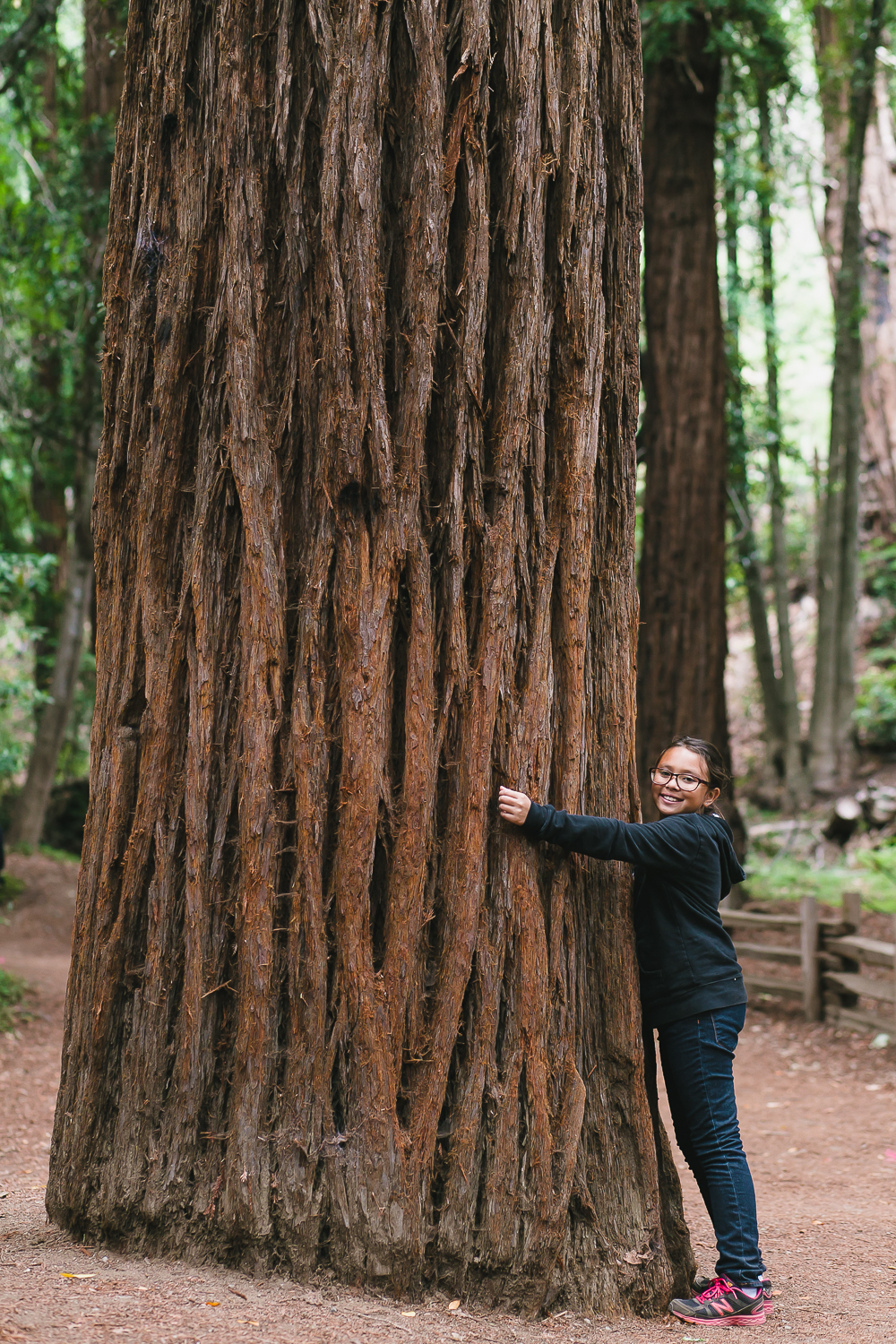 pfeiffer big sure state park, camping, redwoods, tent, chris holt photography, los angeles wedding photographer
