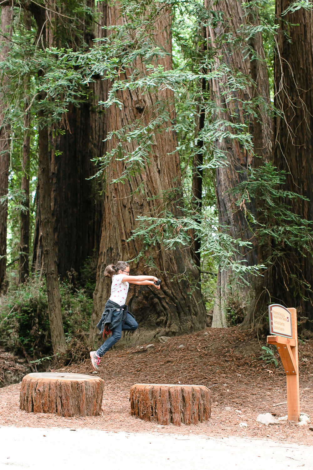 pfeiffer big sure state park, camping, redwoods, tent, chris holt photography, los angeles wedding photographer