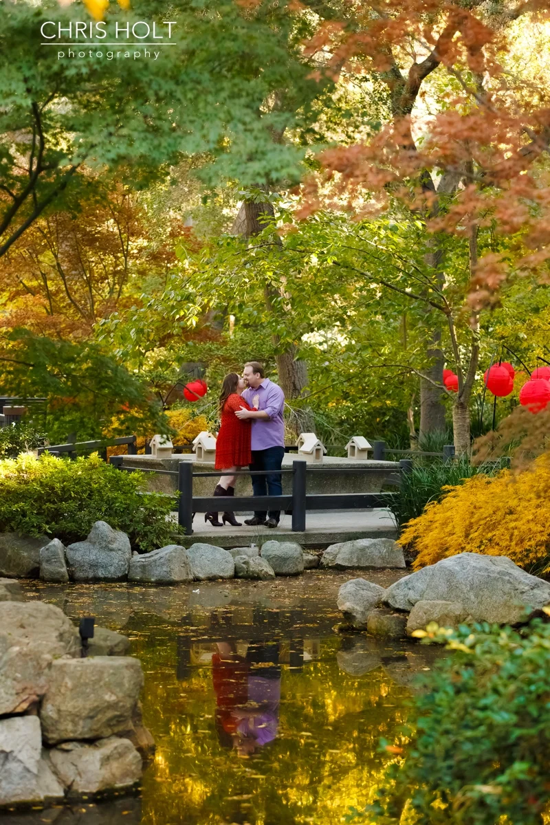 descanso gardens, floral, Japanese gardens, engagement session, reflection, trellis, gazebo, backlight, sunlight, sunset, couple, romantic, portraits, garden, happy, love