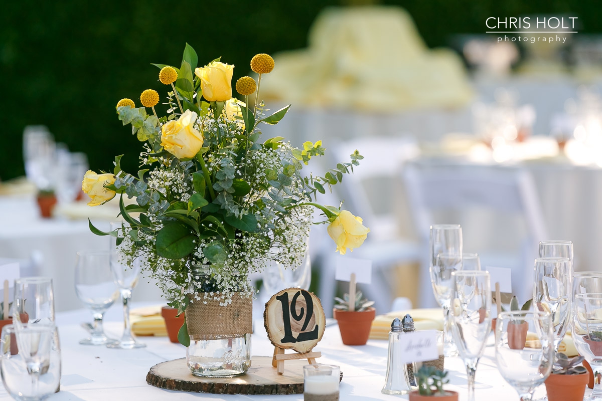 outdoor reception, maravilla gardens, camarillo, intimate wedding, casi cielo events and flowers, frost it cakery, elegant event entertainment, bouquet sound, photographers near me, chris holt