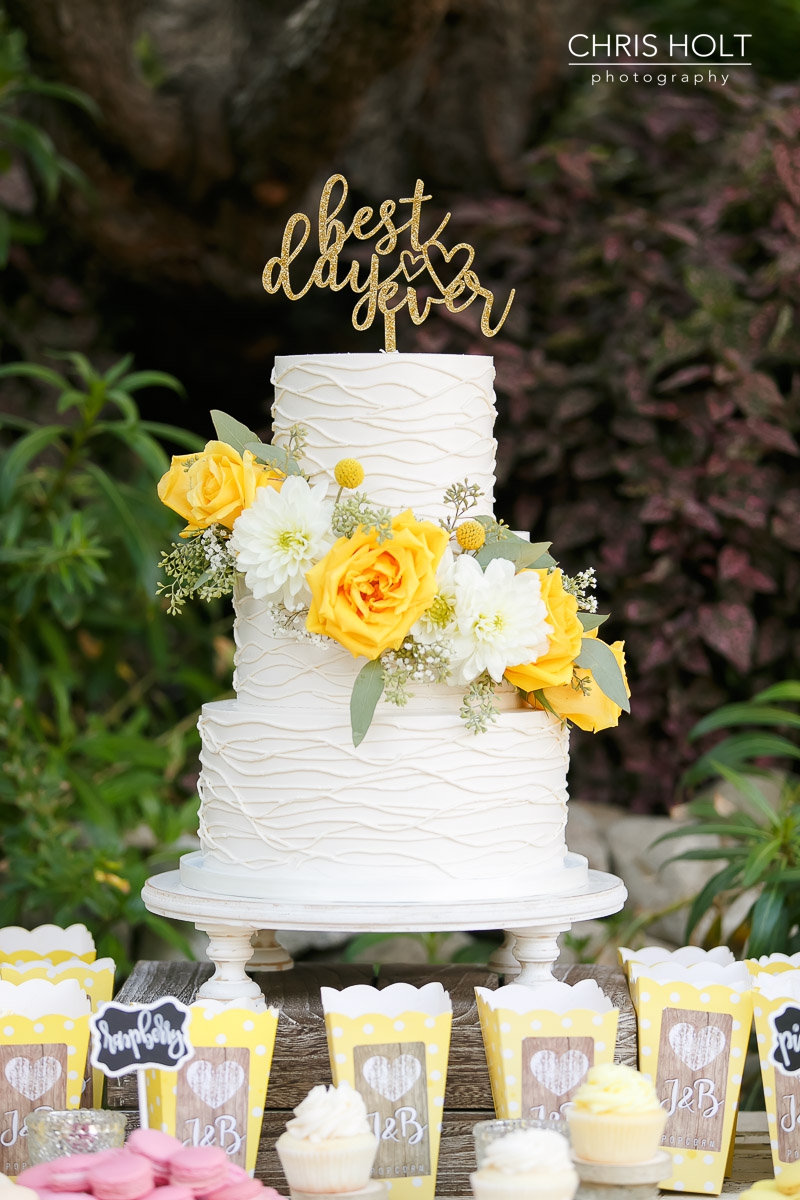 wedding cake, frost it cakery, maravilla gardens, camarillo, intimate wedding, casi cielo events and flowers, photographers near me, chris holt