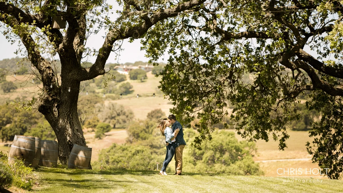 Stolpman Vineyard PROPOSAL.jpg