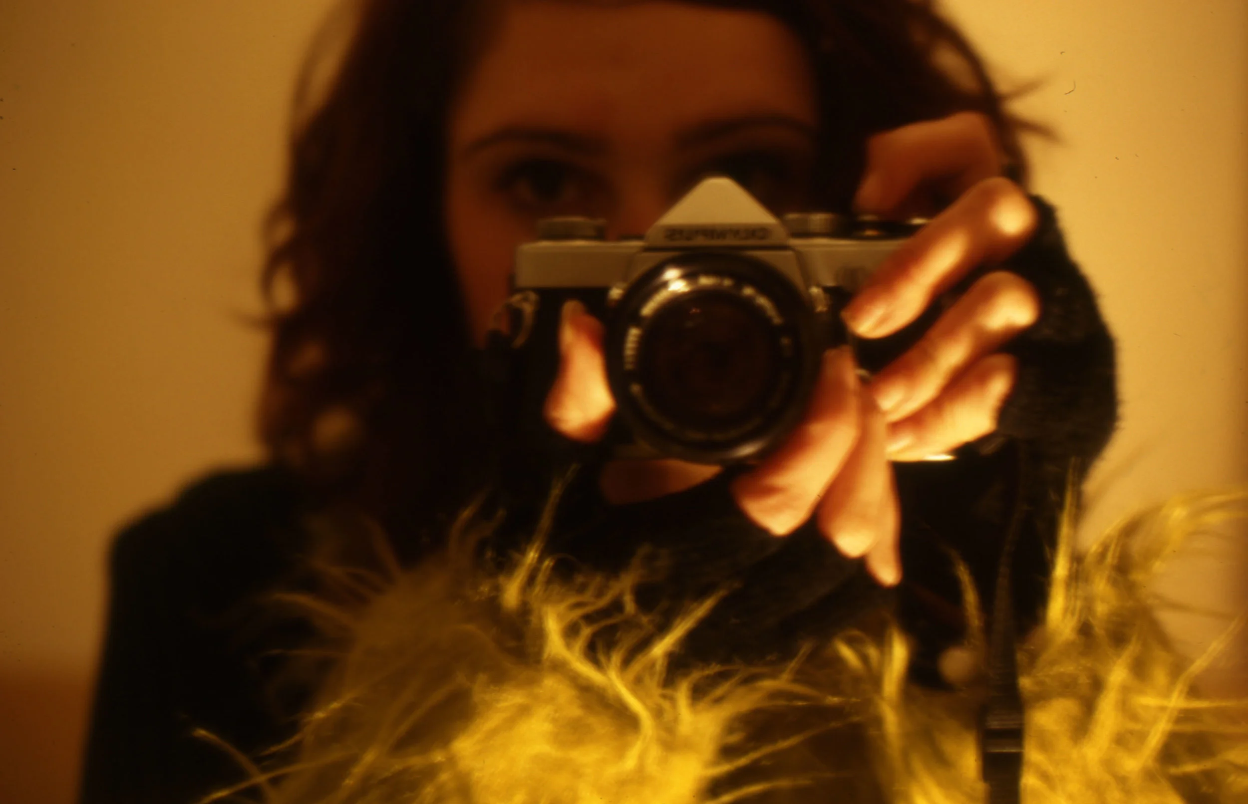 Narwee, 2004, c-type photograph