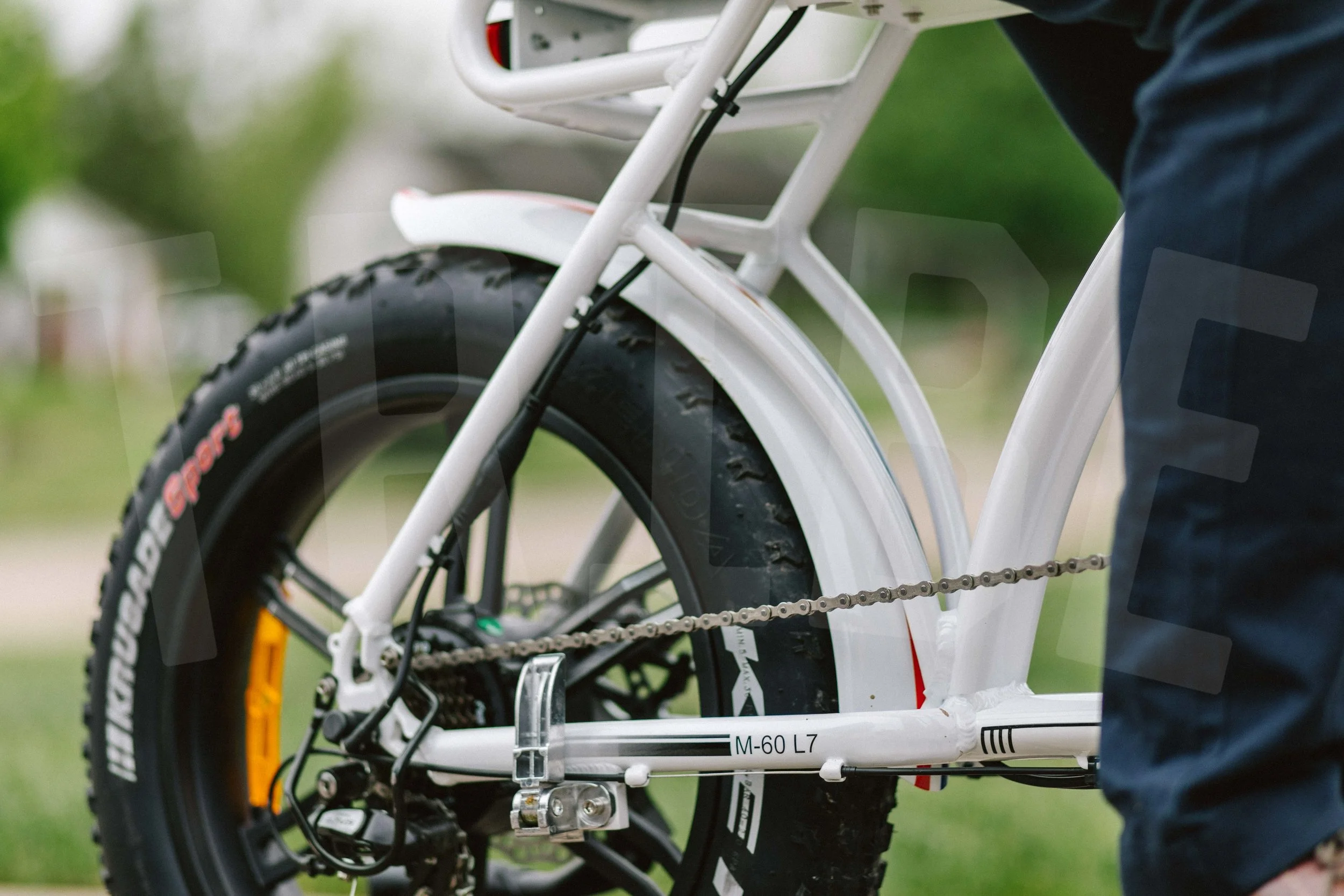 AddMotor-4.jpg