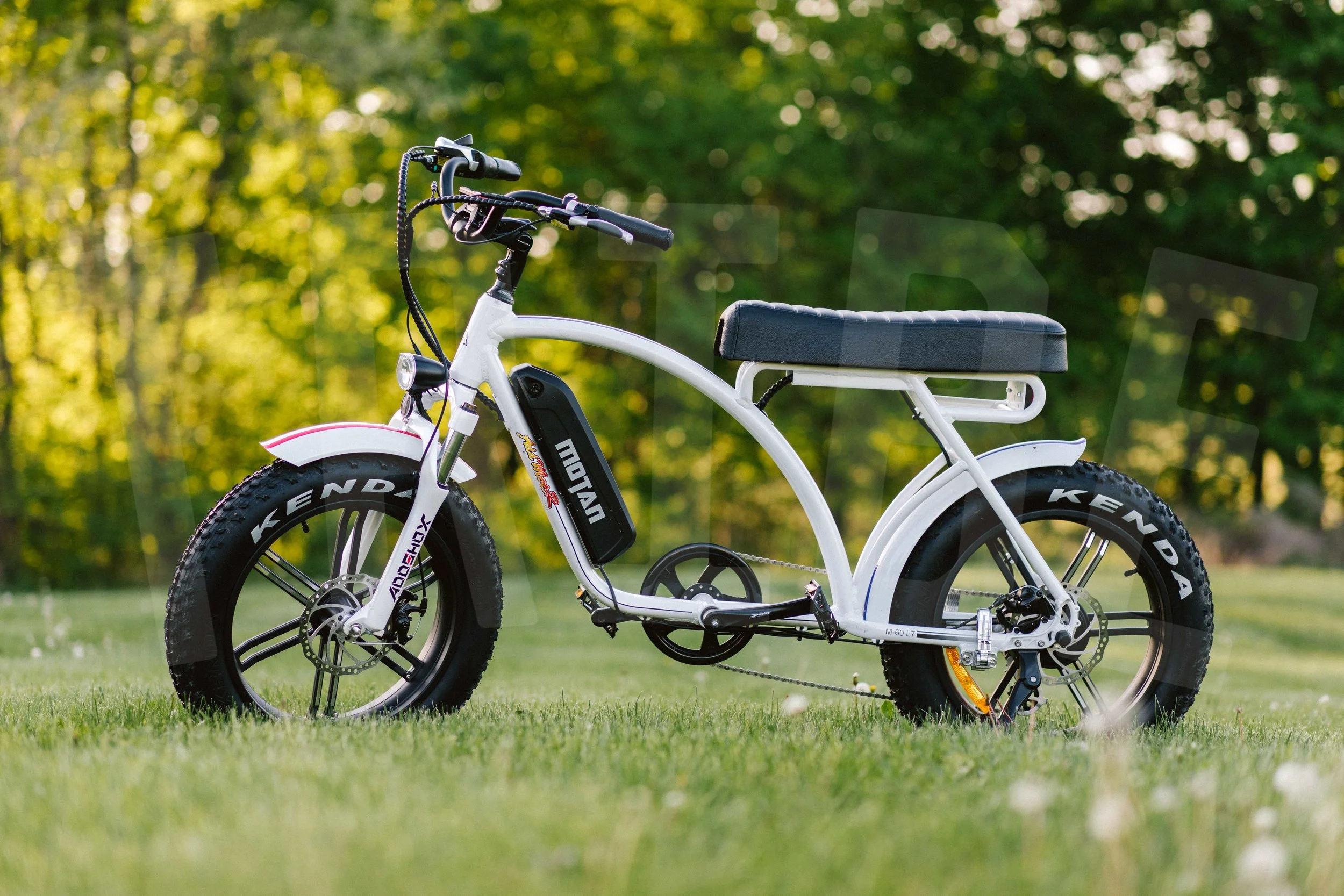AddMotor-23.jpg
