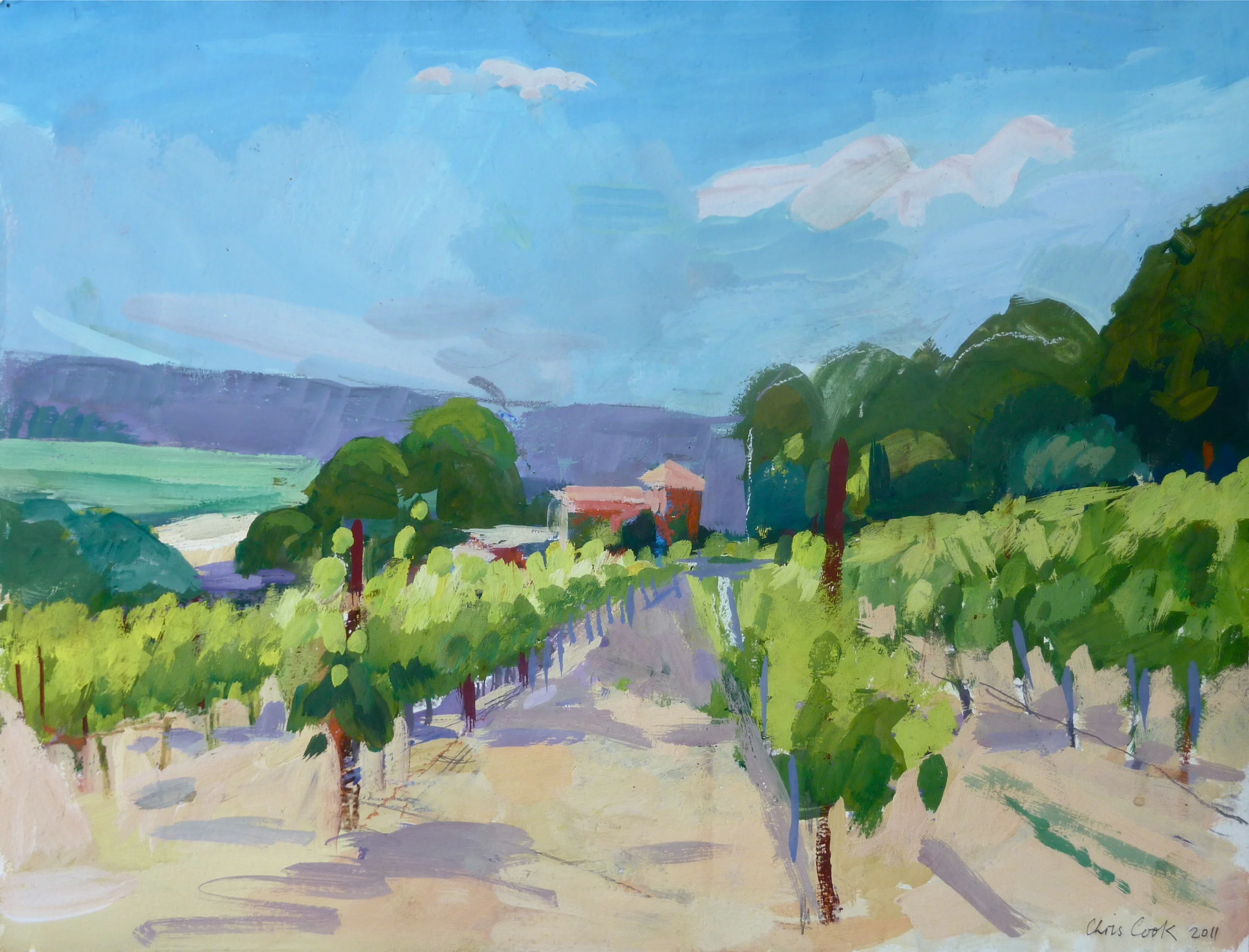 Vines, Languedoc-Roussillon, France
