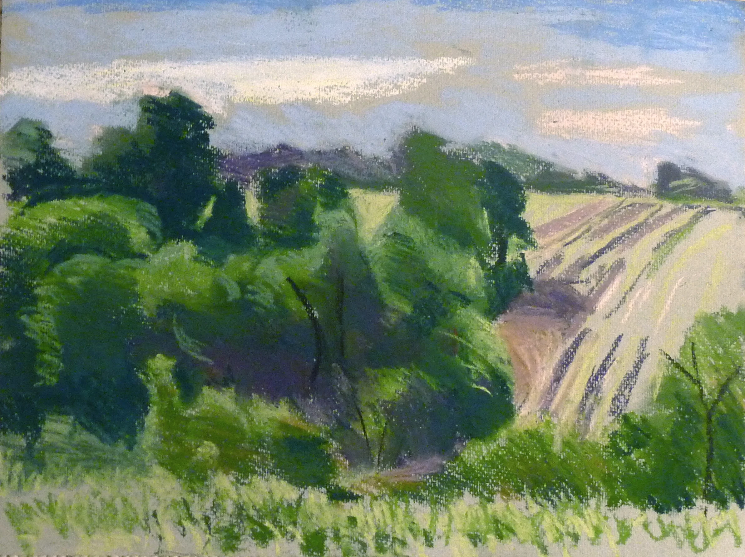 Fields, South of France