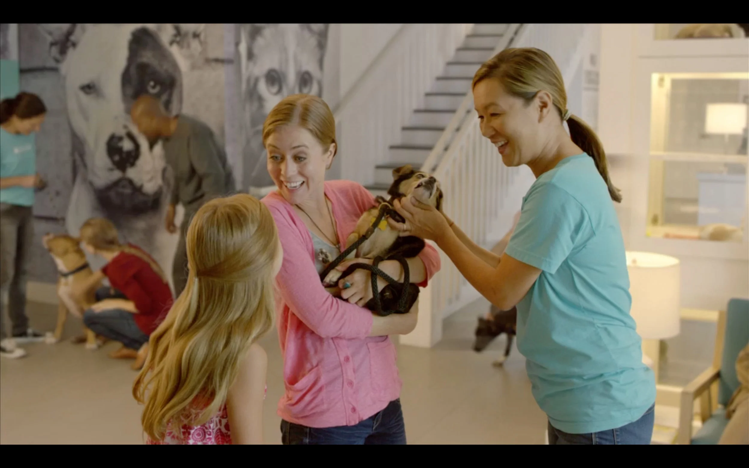 CTCT TV Ad: "Pet Rescue"
