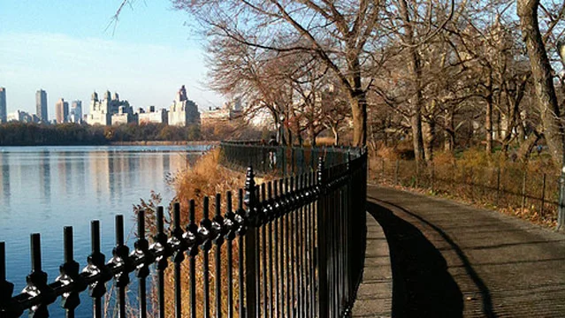 central-park_fe.jpg