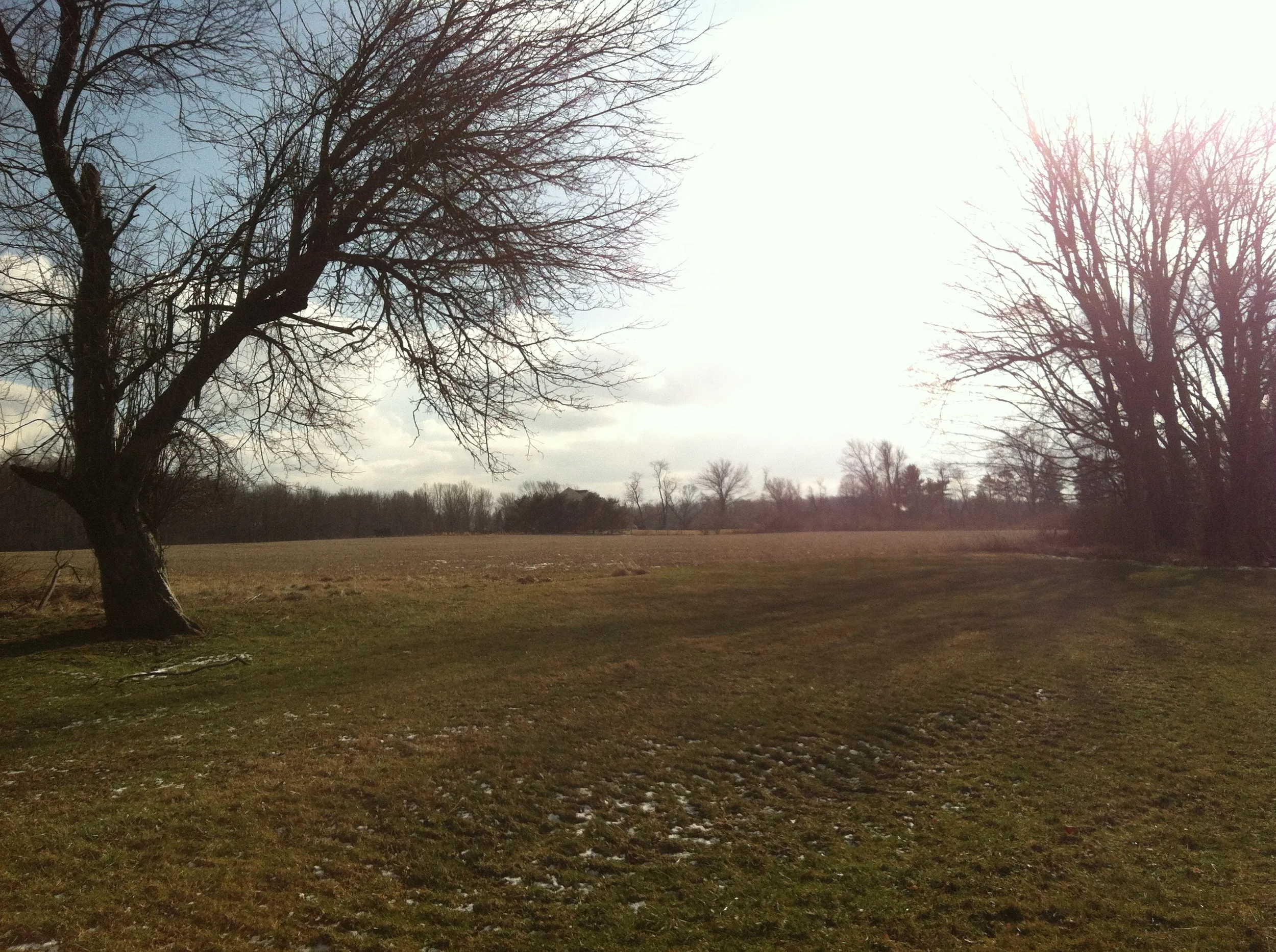 the field of great potential