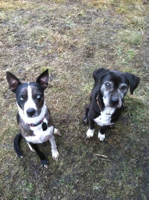 kidogo and lucky