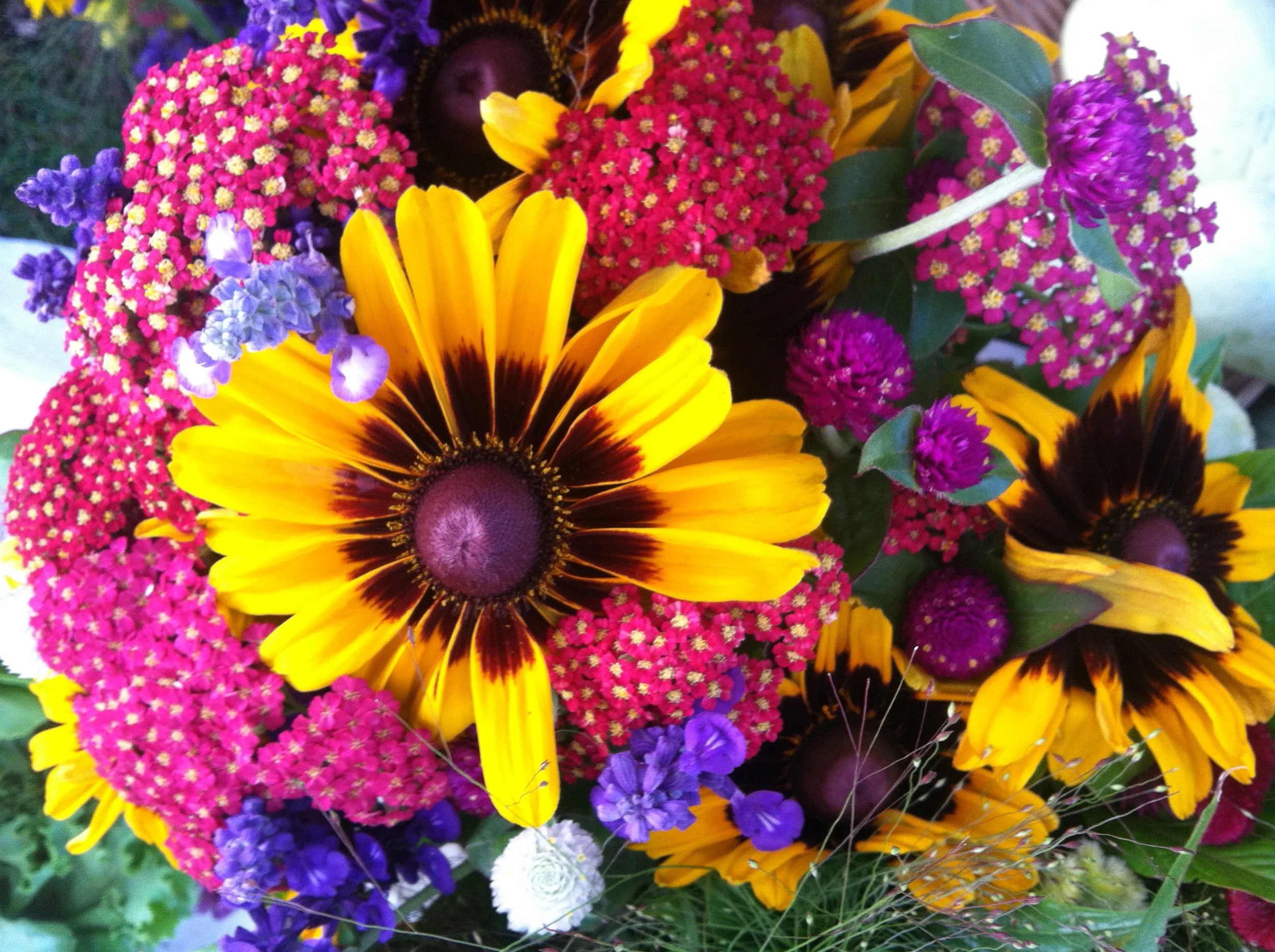 natalie's amazing flowers