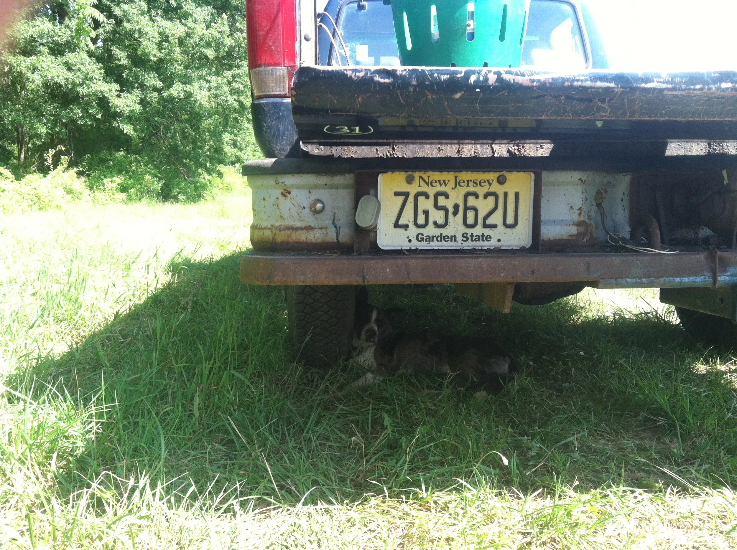 Kidogo hiding from the sun underneath Wizzy, the farm truck.  