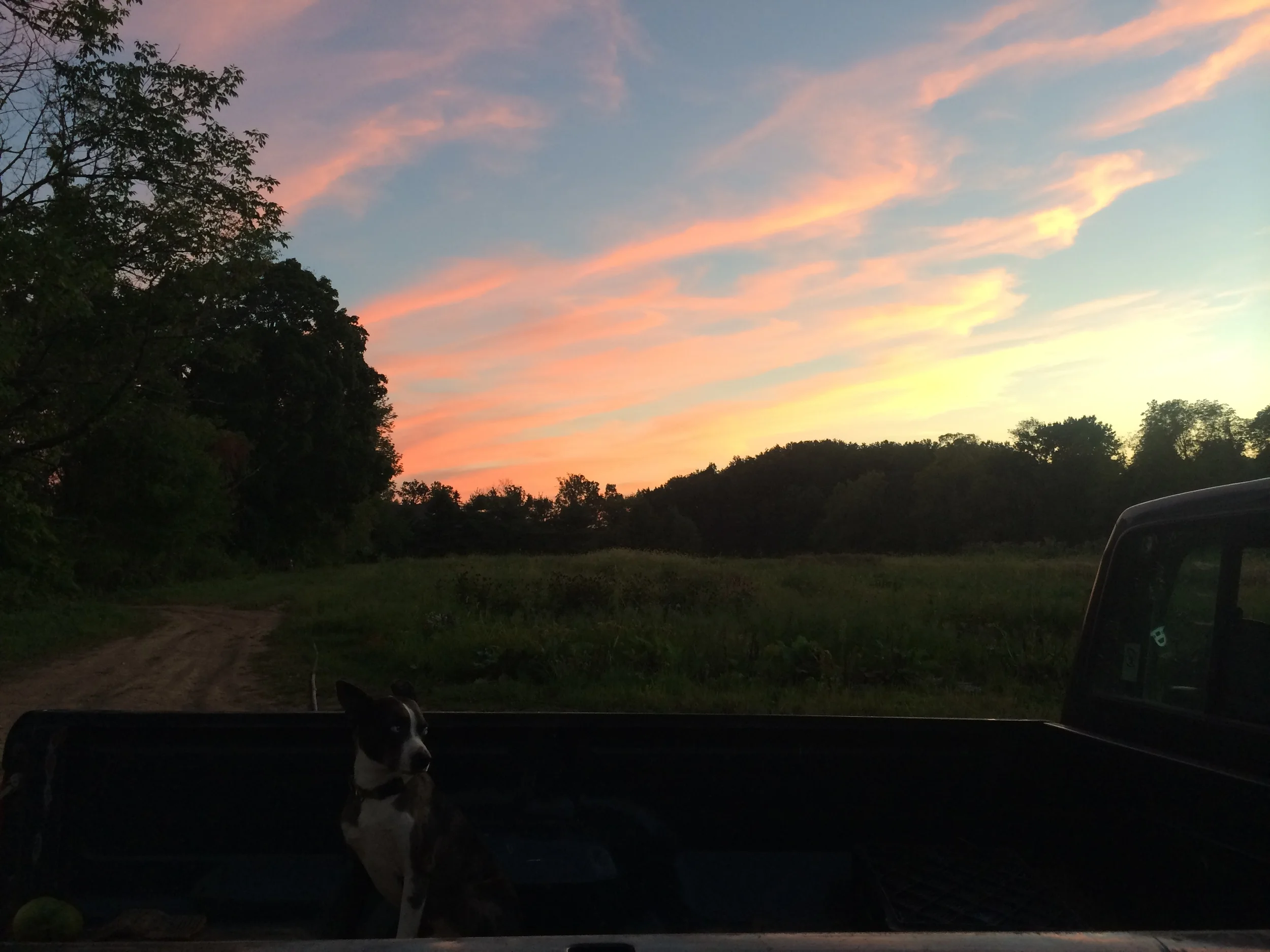 Kidogo under the sunset.
