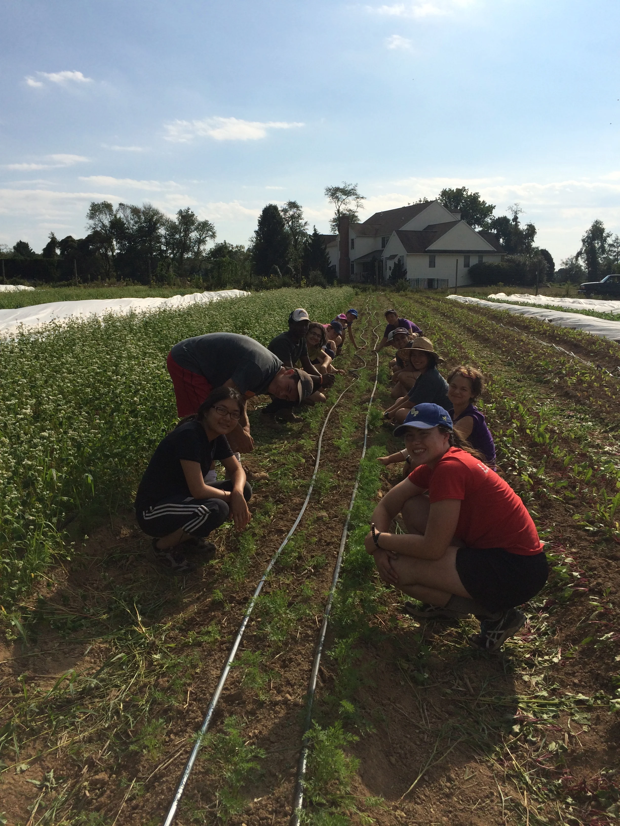 2 groups of Princeton University students came to help us weed! Such a great help!