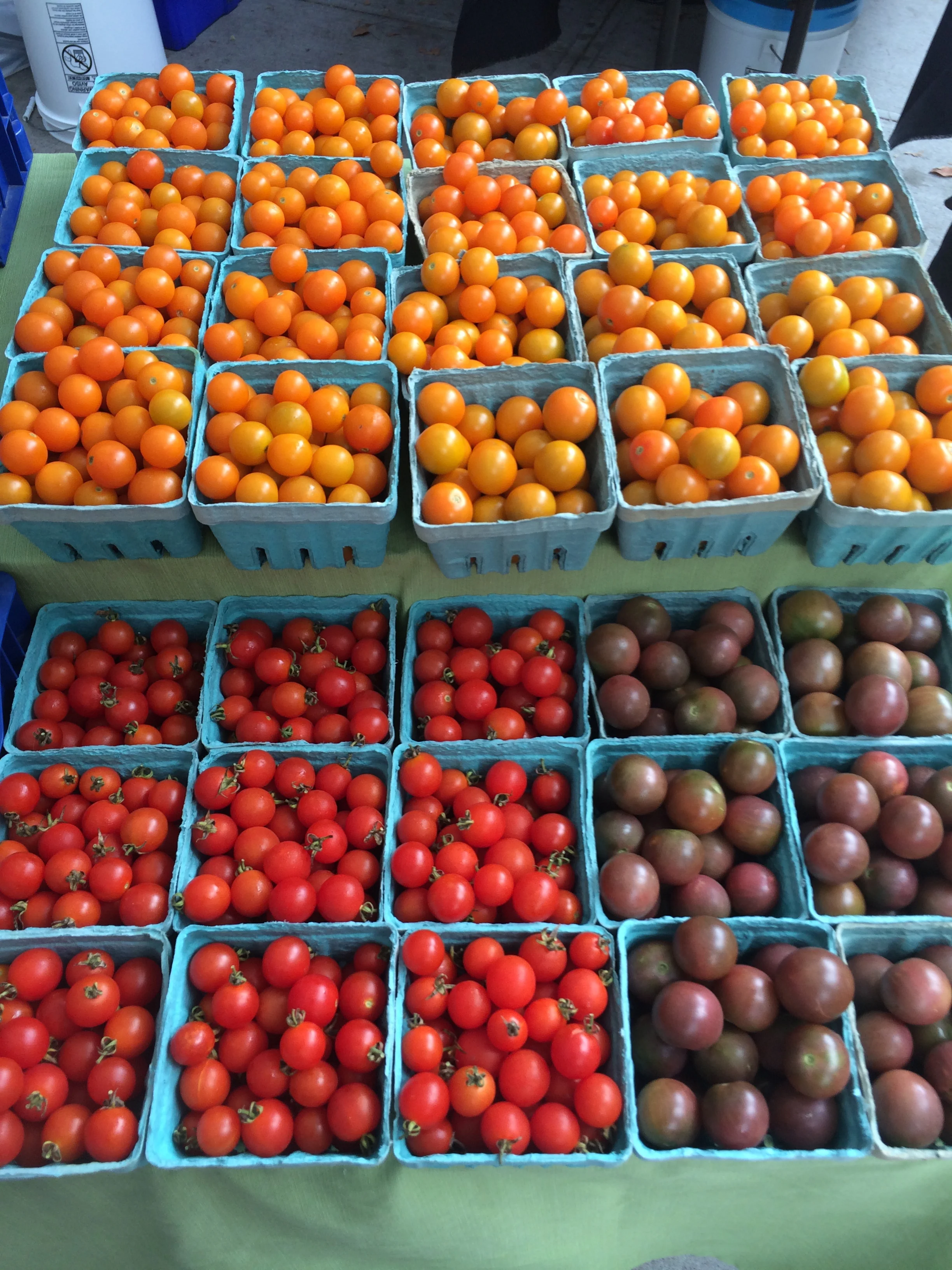 cherry tomato.jpg